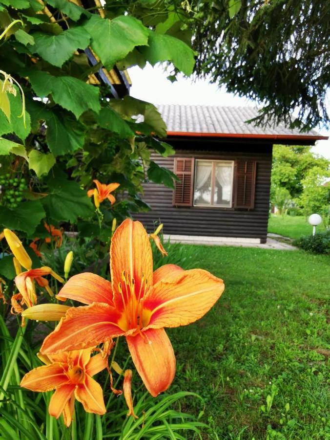 Merikotka - A Cozy Wooden Cottage, Slovenia Braslovce Zewnętrze zdjęcie