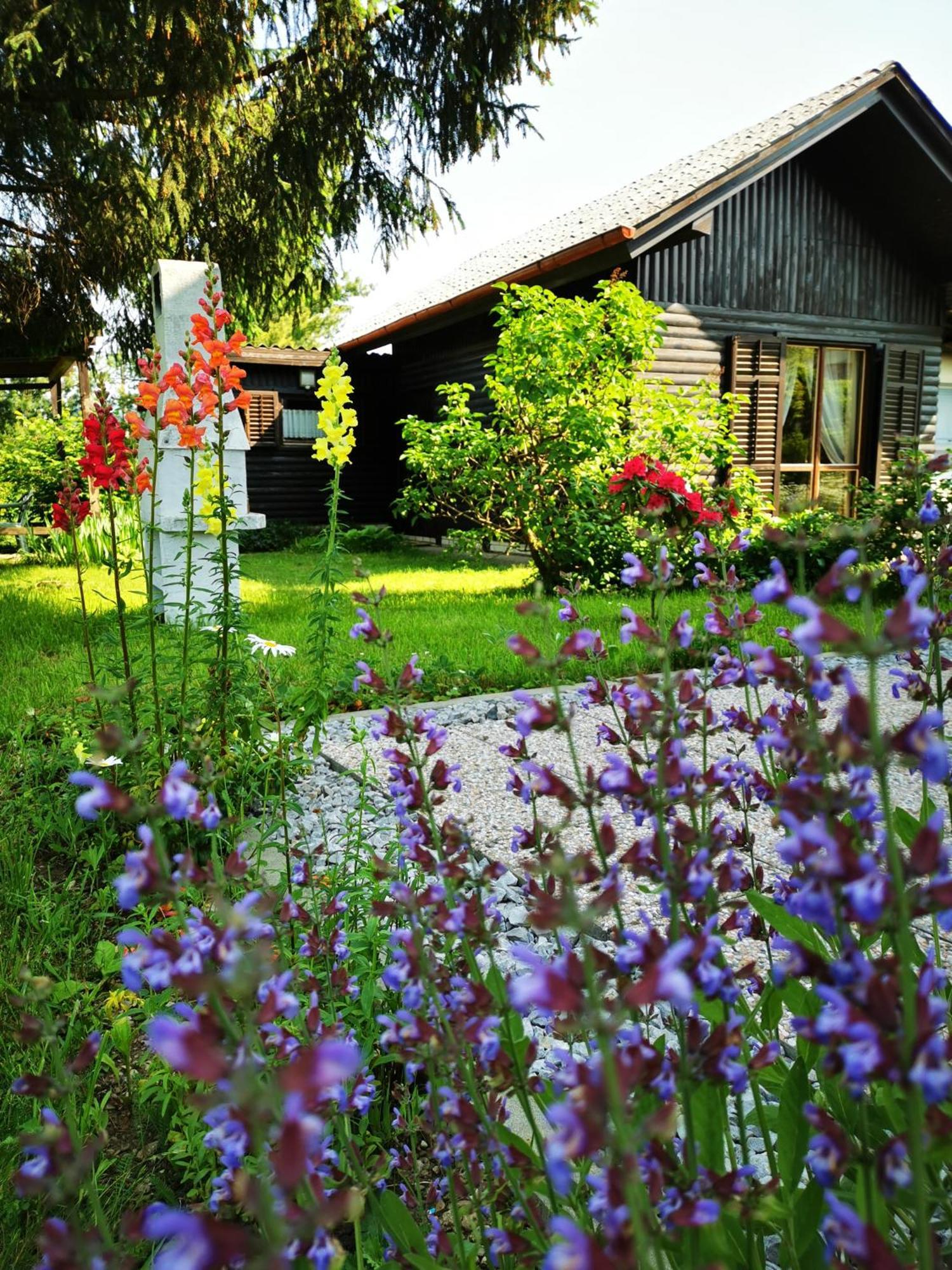 Merikotka - A Cozy Wooden Cottage, Slovenia Braslovce Zewnętrze zdjęcie