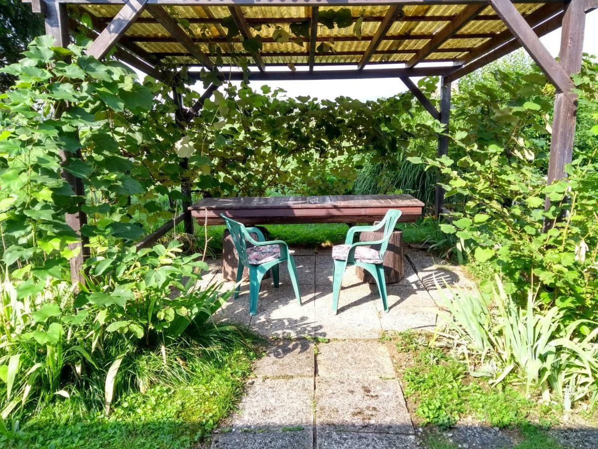 Merikotka - A Cozy Wooden Cottage, Slovenia Braslovce Zewnętrze zdjęcie