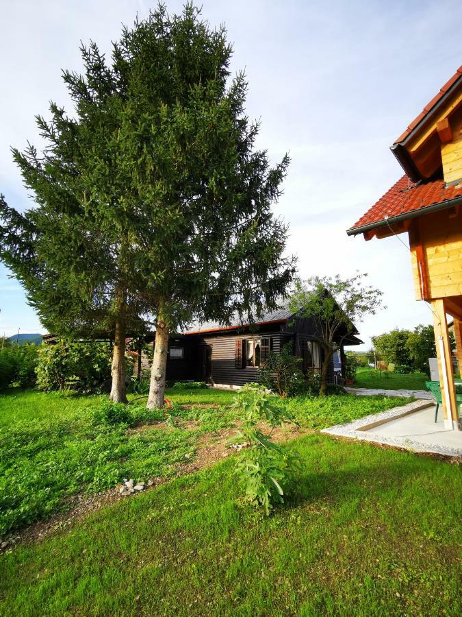 Merikotka - A Cozy Wooden Cottage, Slovenia Braslovce Zewnętrze zdjęcie