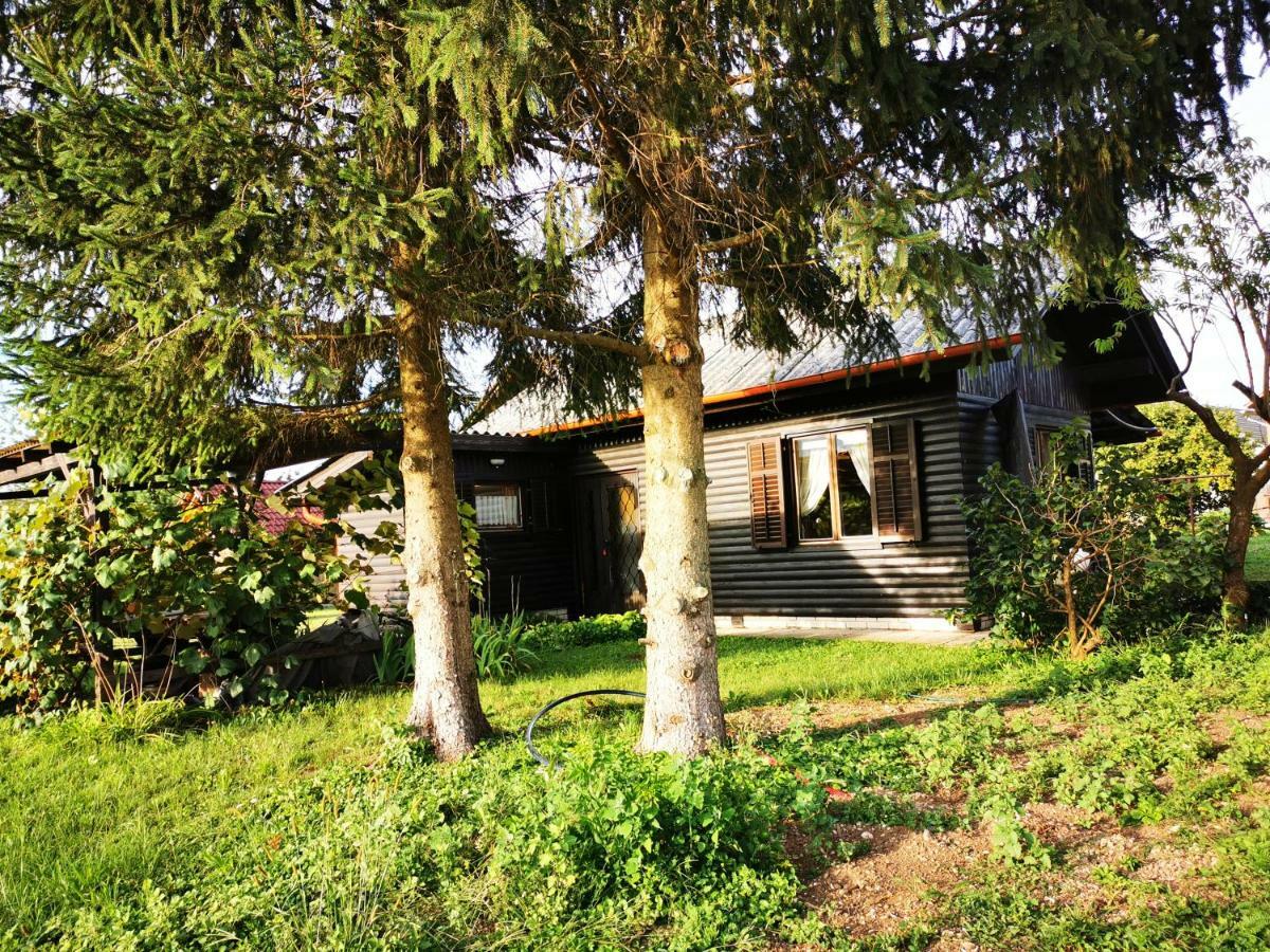 Merikotka - A Cozy Wooden Cottage, Slovenia Braslovce Zewnętrze zdjęcie